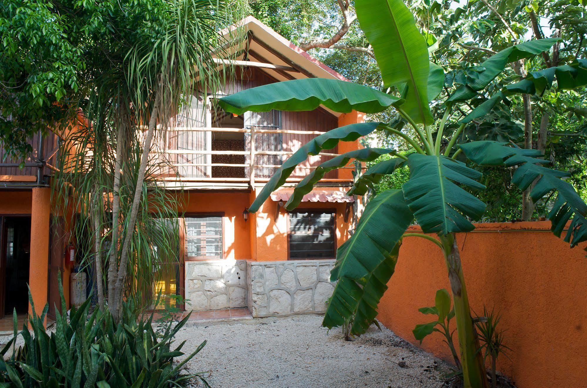 Casa Kiwi Playa Del Carmen Apartment Exterior photo